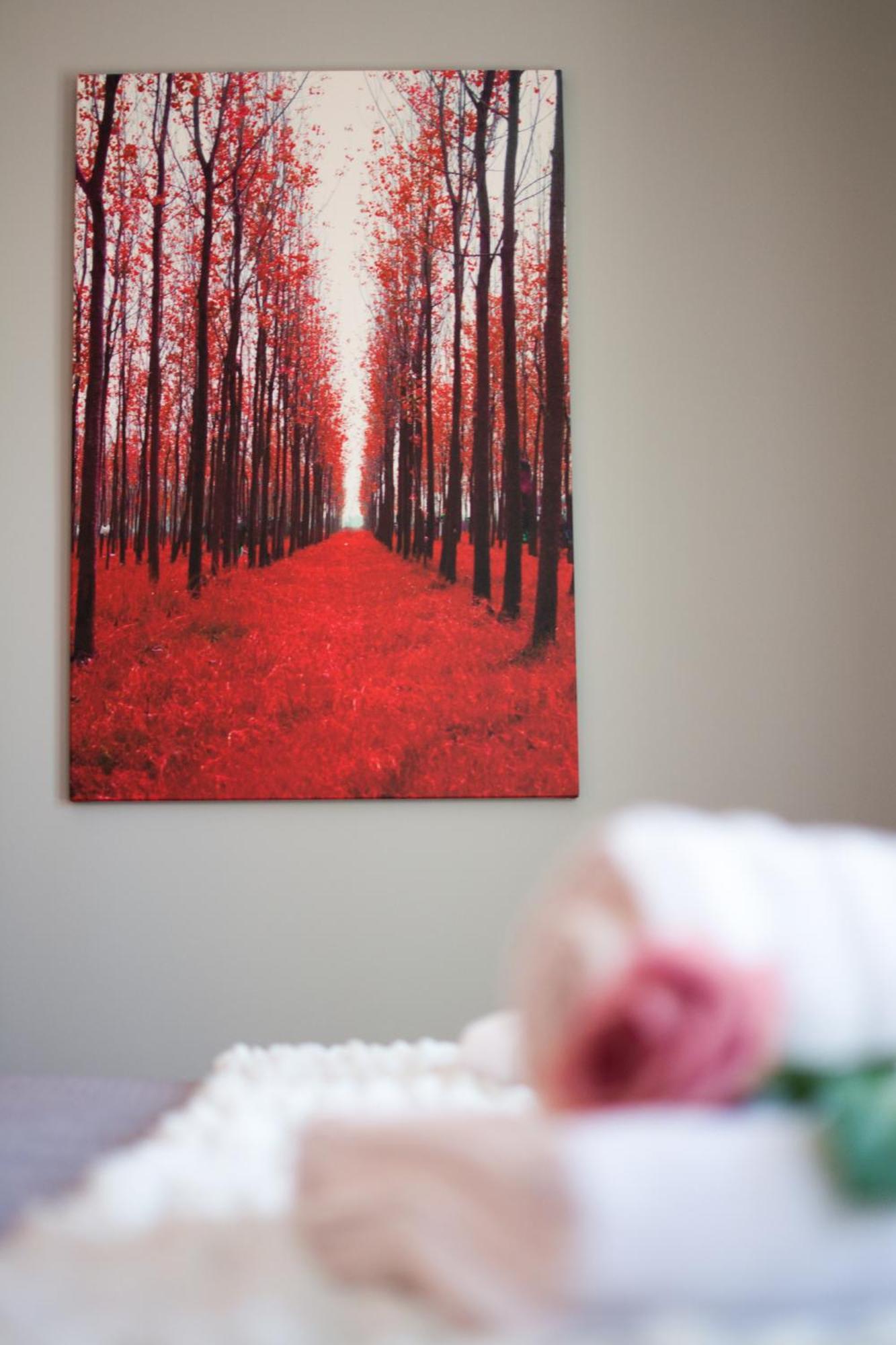 Flower Pot Complex Aparts & Studios! Preveza Room photo